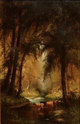 Cows Drinking in a Forest Stream
