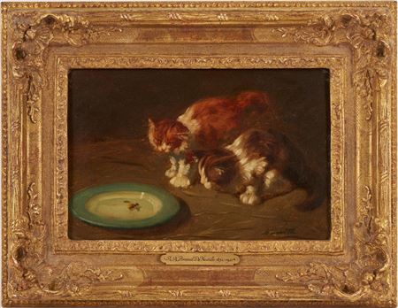 Kittens