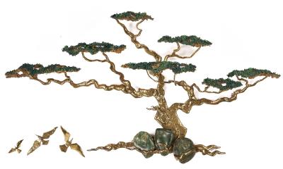 Monterey Cypress