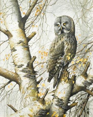 A Great Grey Owl by Terence James Bond - Auction record, sale price, and art valuation. Compare with similar artists and explore comparable artworks.