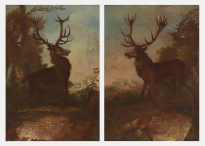 Two portraits of stags (2)