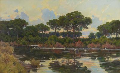 Marsh Landscape