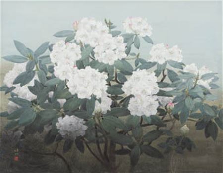 Rhododendron by Koichi Nabatame - Auction record, sale price, and art valuation. Compare with similar artists and explore comparable artworks.