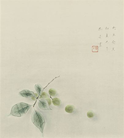 Green plums