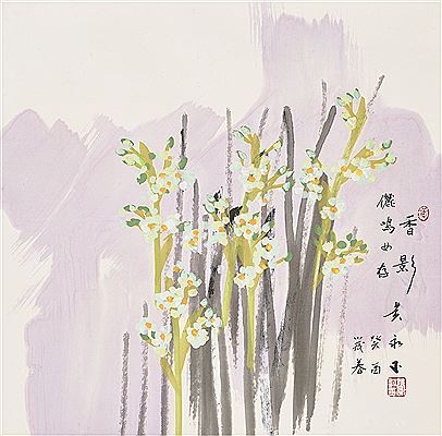 Narcissus