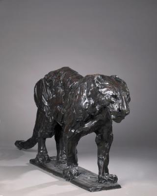 Amur Panther