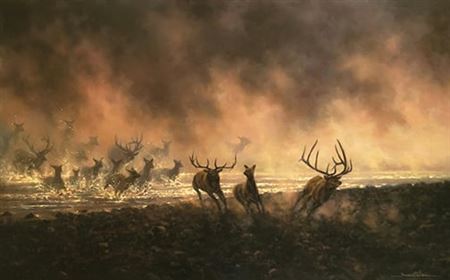 "Wild, Swift and Free"
