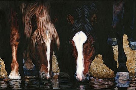 Drinking Buddies