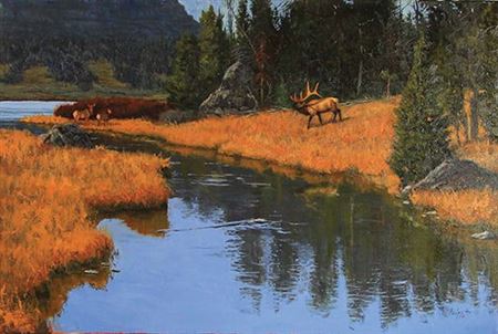 Absaroka Bull