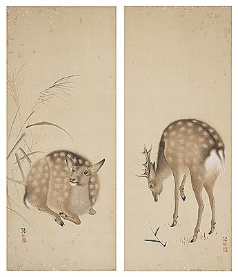 A Pair of Deer