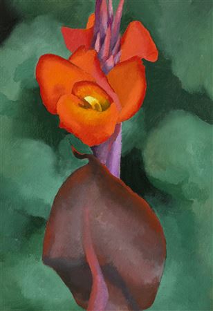 Red Canna - Image 1 of 4