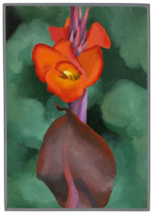 Red Canna - Image 2 of 4