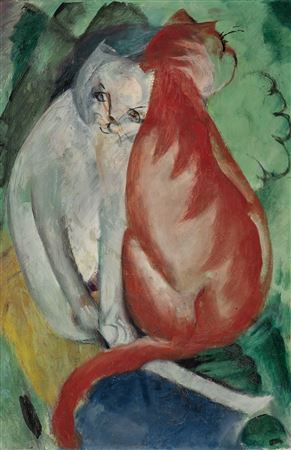 Katzen, Rot und Weiß