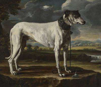 Sample artwork by Michele Pace (1625 - 1669), known for painting, influenced by michelangelo cerquozzi - View similar artists and auction records