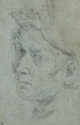 The head of a man: a cartoon