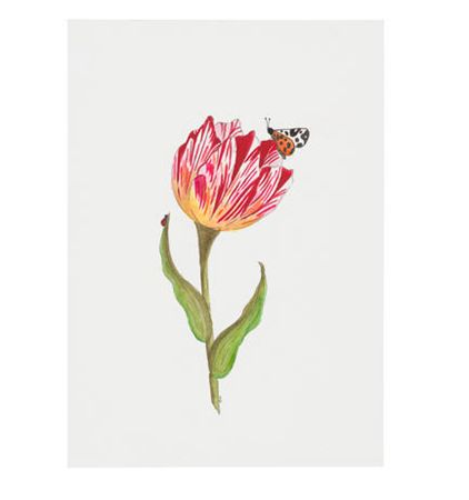 Floral II, 2025