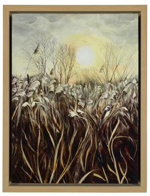 Wetland