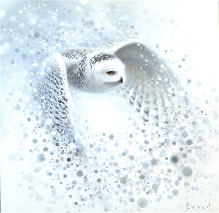 Snowy Owl