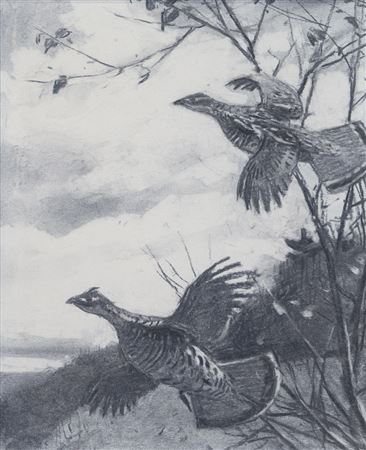 Study for Grouse in Flight