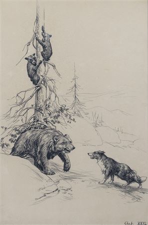 Dog Meets Bear and Cubs