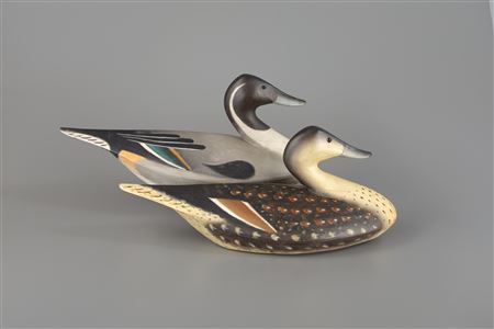 Pintail Pair