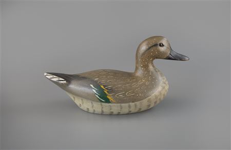 Exceptional Green-Winged Teal