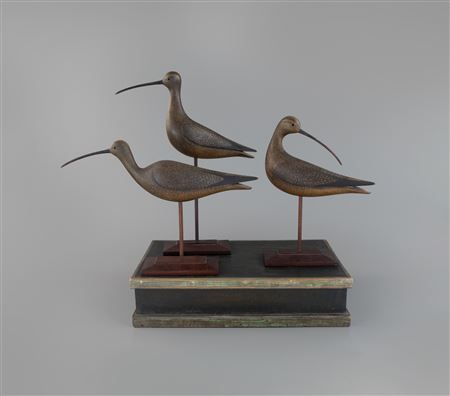 Rig of Three Long-Billed Curlew