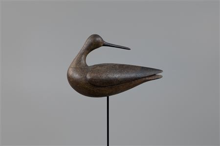 Outstanding Hollow Preening Root-Head Shorebird