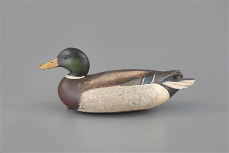 White-Rig Oversize Mallard