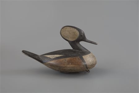 Hooded Merganser