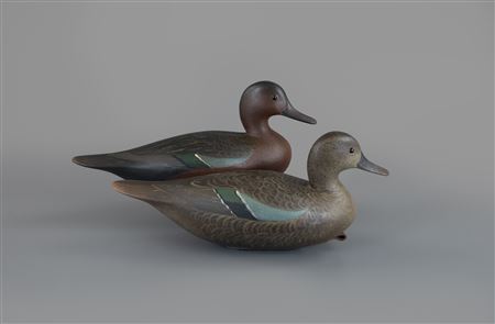Exceedingly Rare Cinnamon Teal Pair