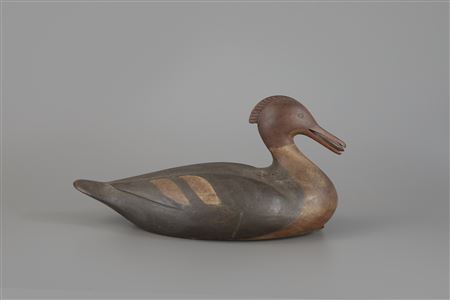 Merganser Hen with Mussel