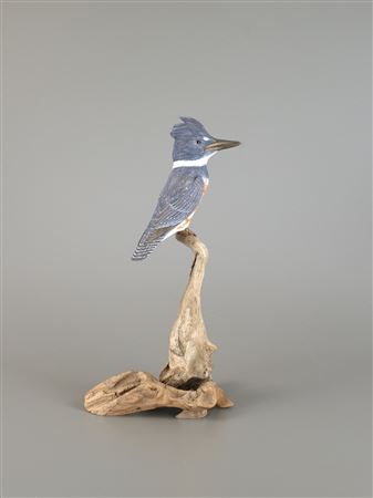 Life-Size Belted Kingfisher