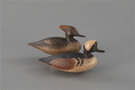 Miniature Hooded Merganser Pair