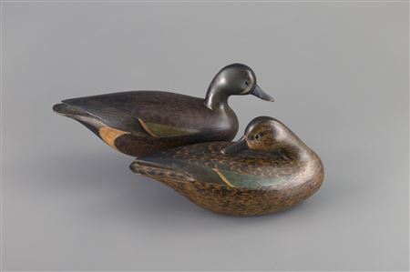 Early Blue-Winged Teal Pair