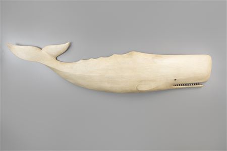 White Whale