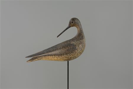Stavis Preening Dovetailed Yellowlegs