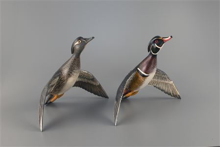 Flying Wood Duck Pair