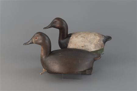 Bullneck Canvasback Pair by Ralph Reghi - Auction record, sale price, and art valuation. Compare with similar artists and explore comparable artworks.
