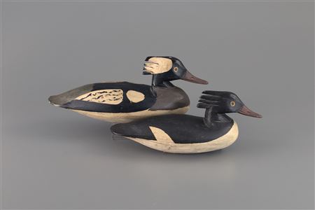 Merganser Pair
