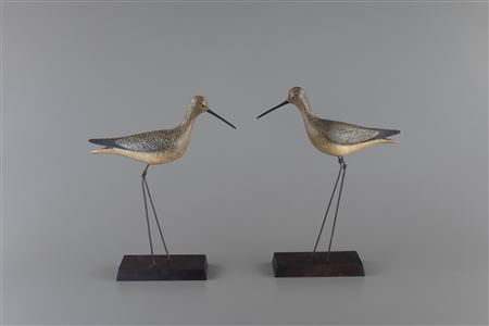 "Poverty Island" Yellowlegs (2)