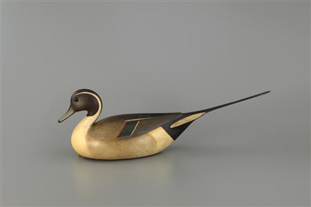 Stavis Pintail