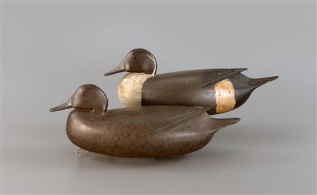 The Eshenbaugh-Butler Quinn Pintail Pair