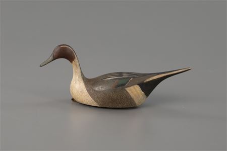 Miniature Root-Head Pintail Drake