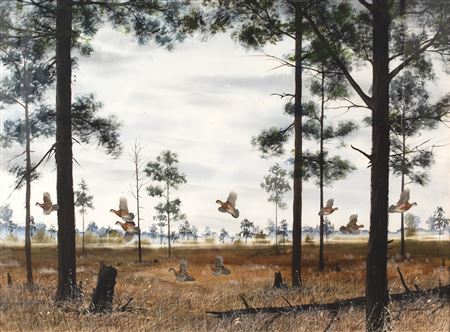 Flushing Quail Covey
