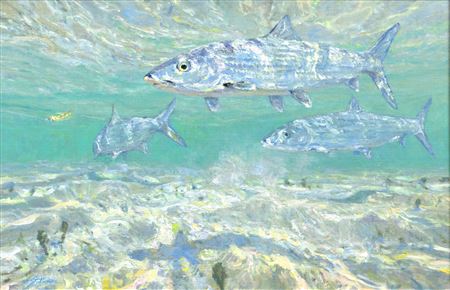 "Ghosts of the Flats, Bonefish"