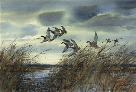 Mallards Over the Marsh