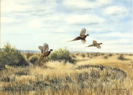 Ringneck Pheasant by Noel Dunn - Auction record, sale price, and art valuation. Compare with similar artists and explore comparable artworks.