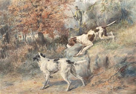 Grouse Shooting in New England