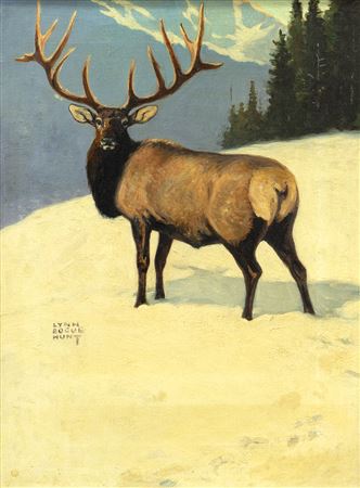 Lone Elk